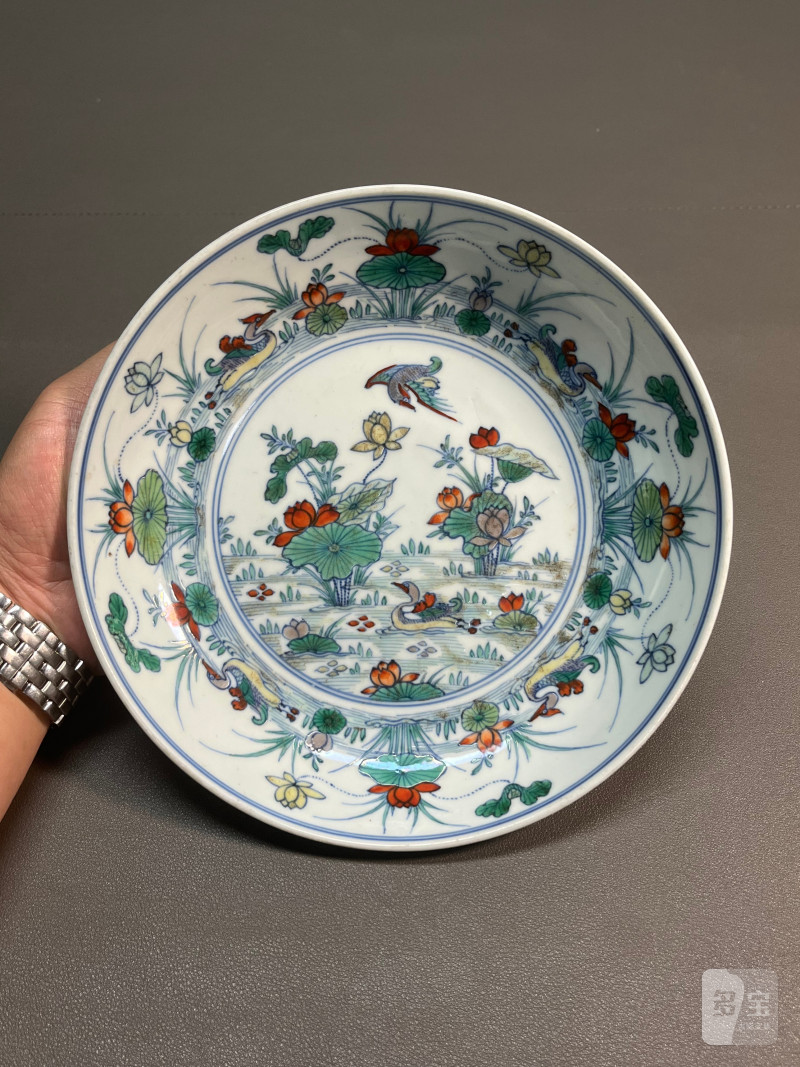 清雍正  斗彩荷塘鸳鸯“满池娇”图折沿盘（附老盒） - 图5